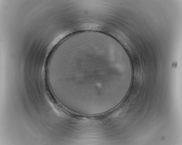 X0000090450674200708102050