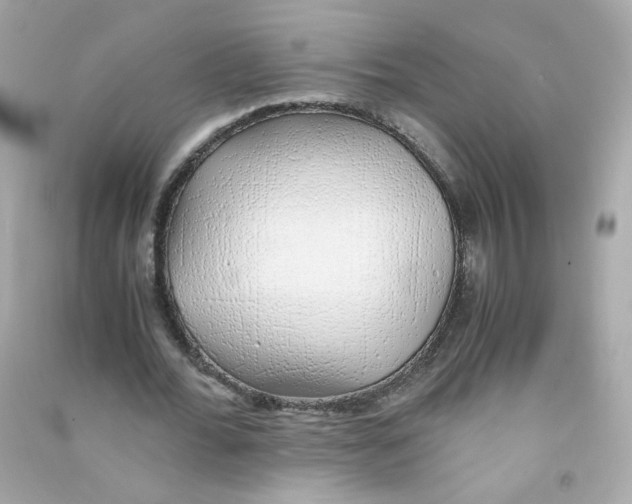 X0000090450676200708102050