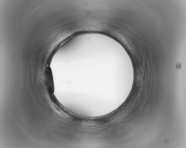 X0000090450677200708102050