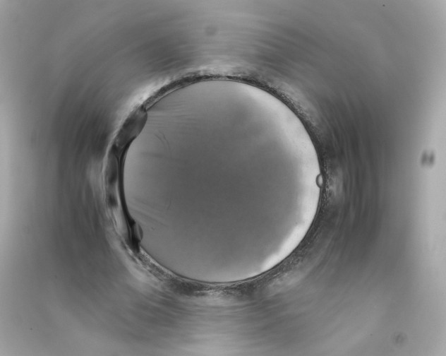 X0000090450678200708102050