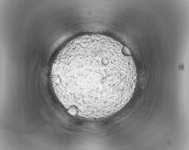 X0000090450679200708102050