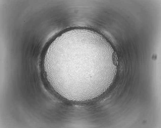 X0000090450680200708102050