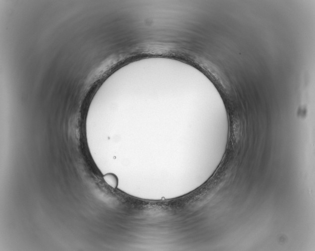 X0000090450682200708102050