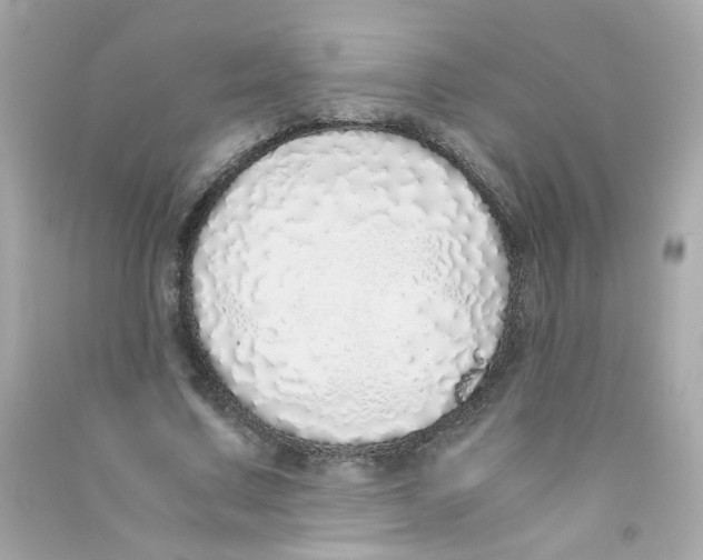 X0000090450683200708102050