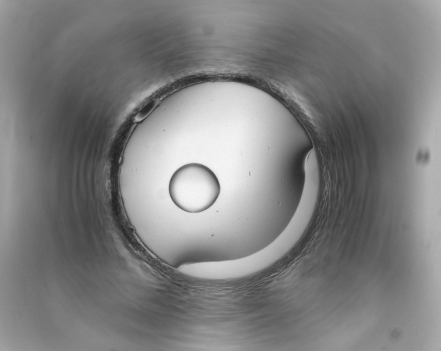 X0000090450684200708102050