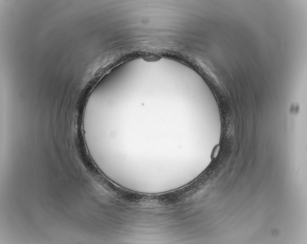 X0000090450685200708102050