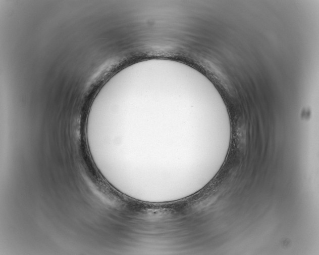 X0000090450686200708102050