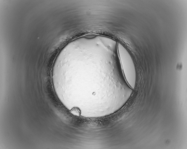 X0000090450687200708102050