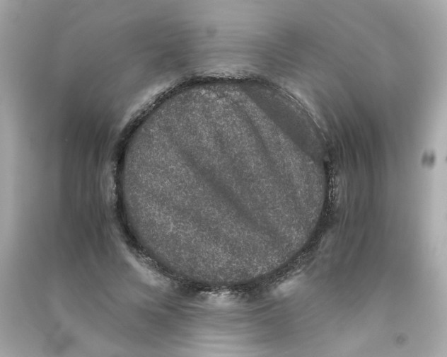 X0000090450688200708102050