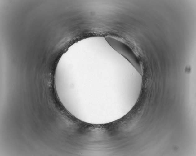 X0000090450689200708102050