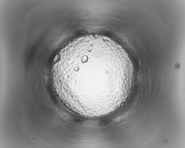 X0000090450691200708102050