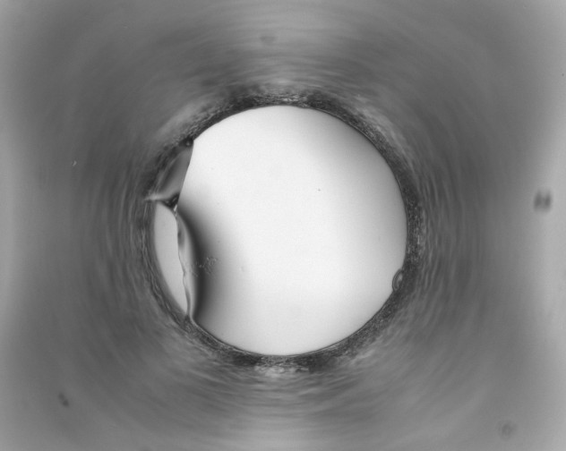 X0000090450693200708102050