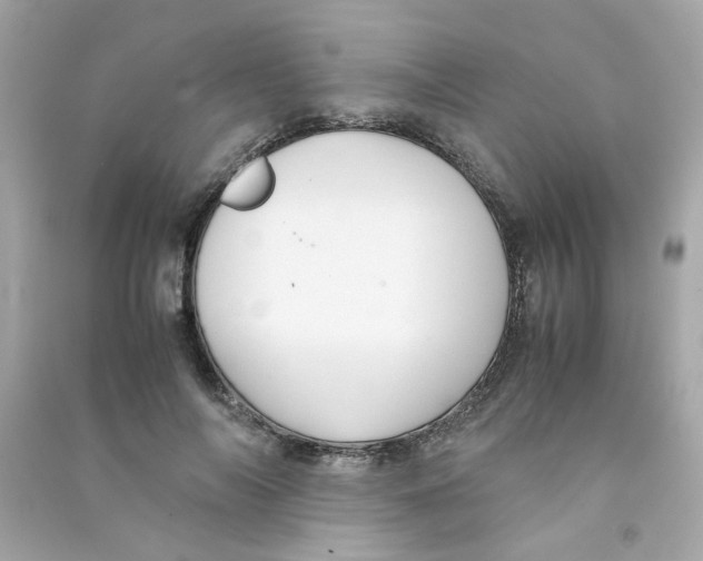 X0000090450694200708102050