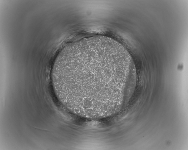 X0000090450695200708102050