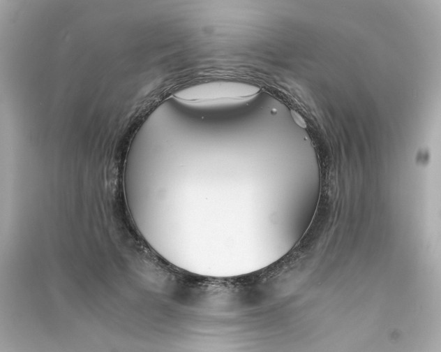 X0000090450697200708102050