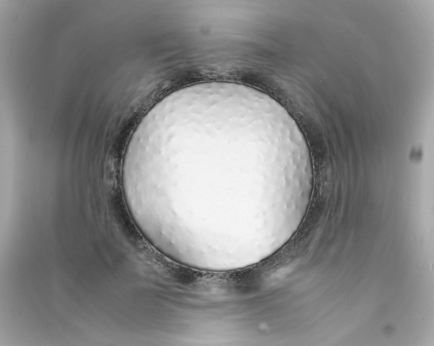 X0000090450699200708102050