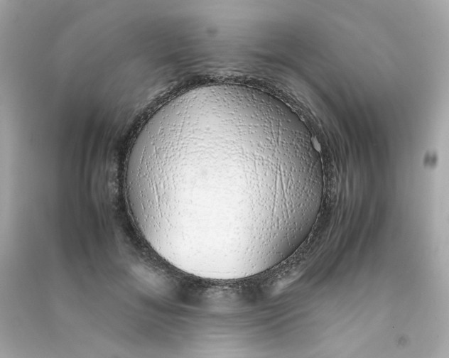 X0000090450700200708102050