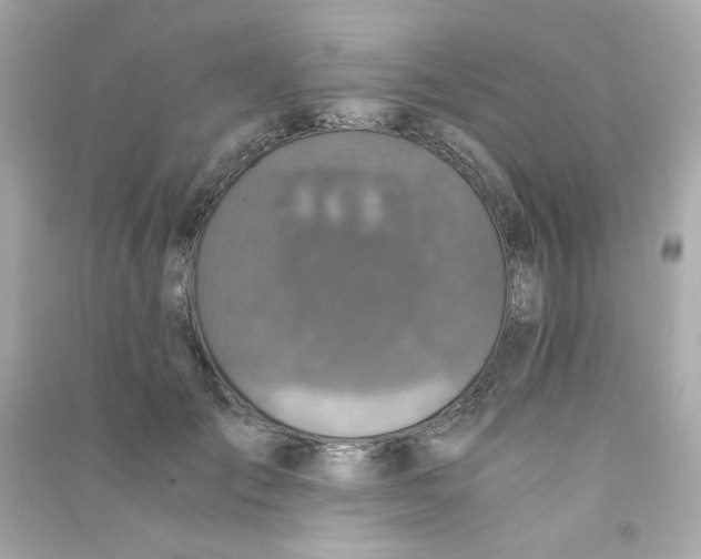 X0000090450701200708102050