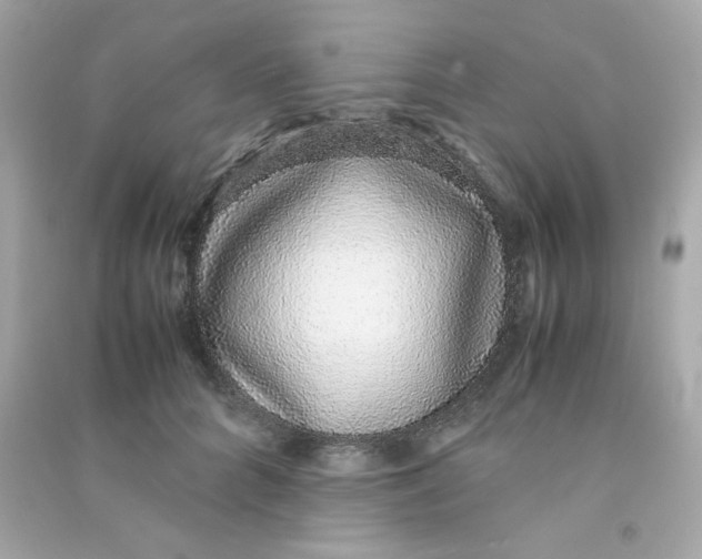 X0000090450704200708102050