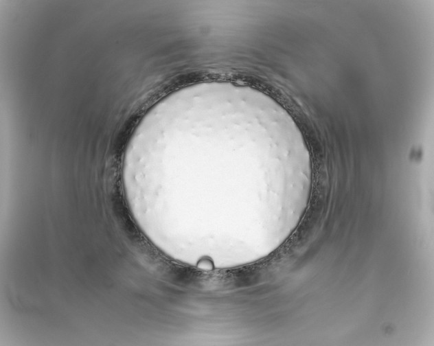 X0000090450707200708102050