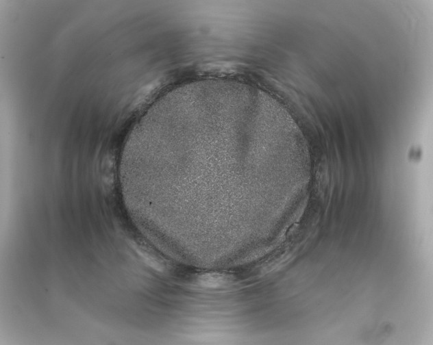 X0000090450708200708102050