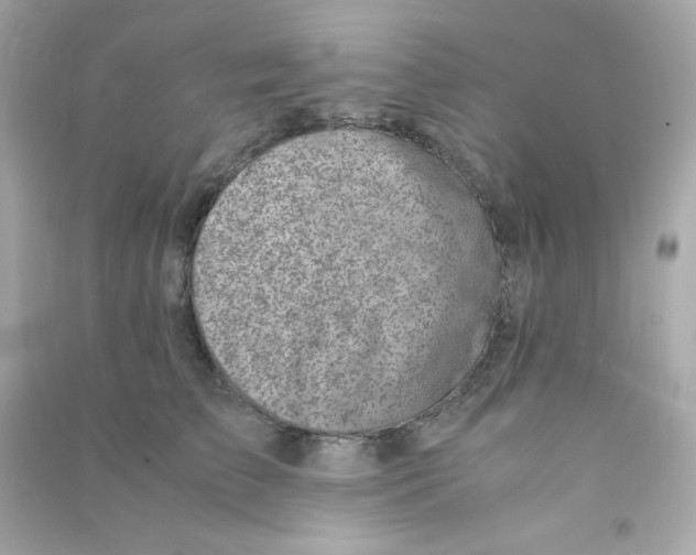 X0000090450709200708102050