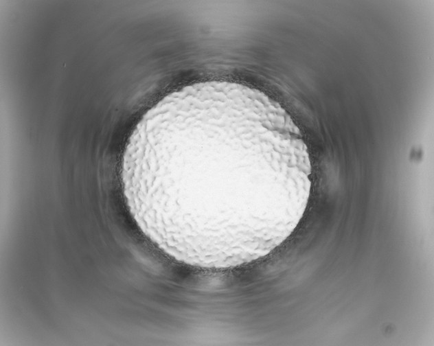 X0000090450711200708102050