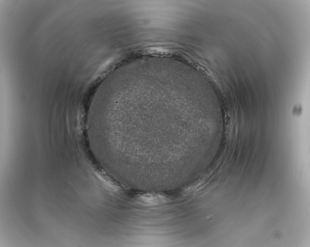 X0000090450712200708102050