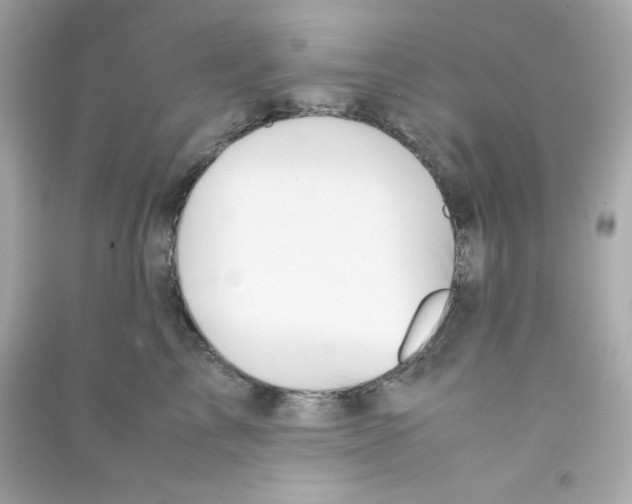 X0000090450713200708102050