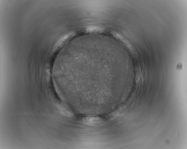 X0000090450716200708102049