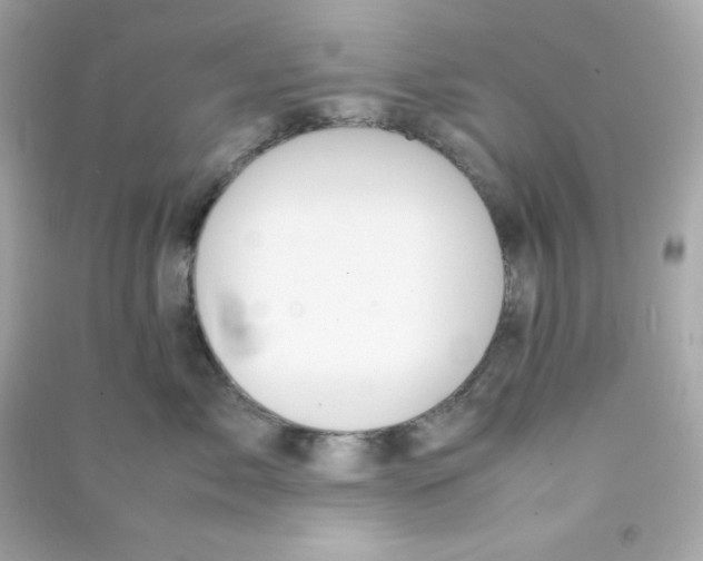 X0000090450717200708102049