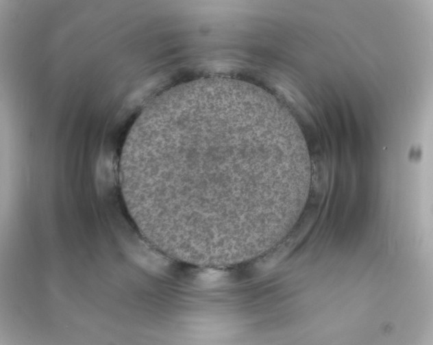 X0000090450718200708102049