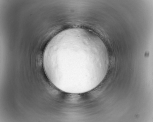 X0000090450719200708102049