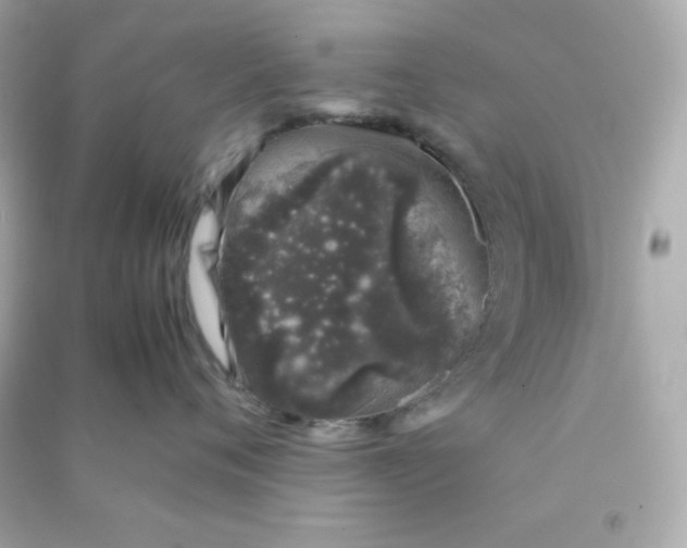 X0000090450720200708102049