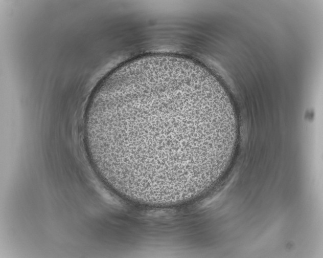 X0000090450721200708102049