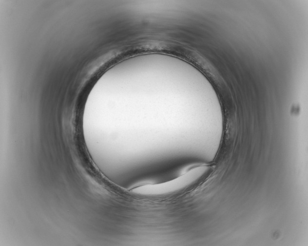 X0000090450722200708102049