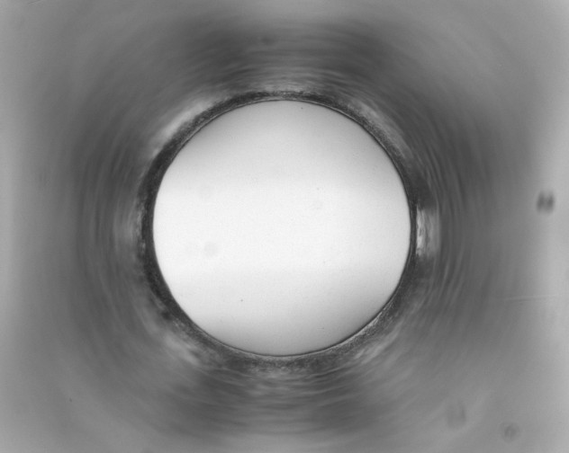 X0000090450723200708102049