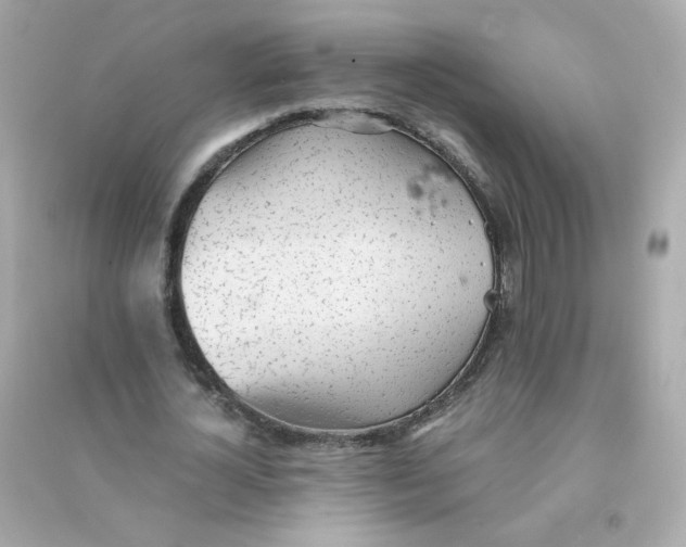 X0000090450724200708102049