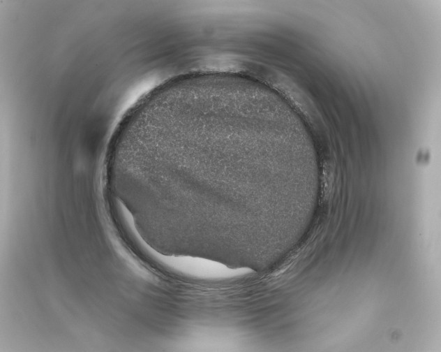 X0000090450726200708102049