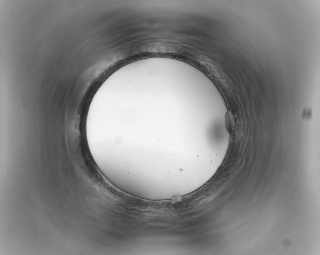 X0000090450727200708102049