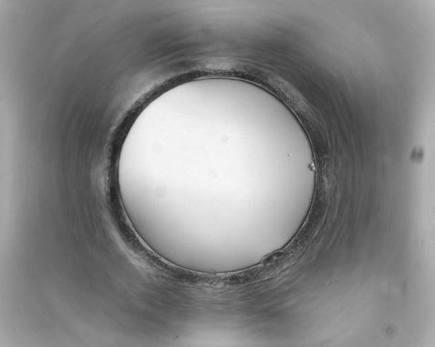 X0000090450728200708102049