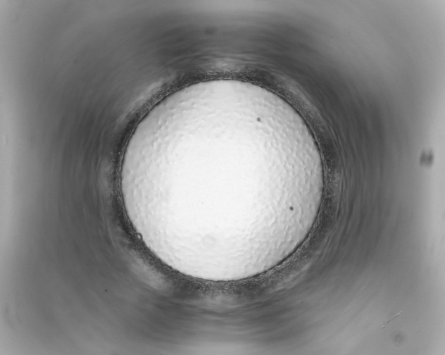 X0000090450729200708102049