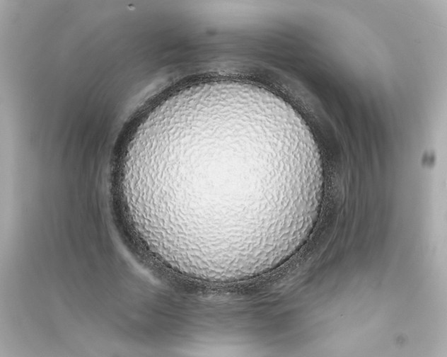 X0000090450730200708102049