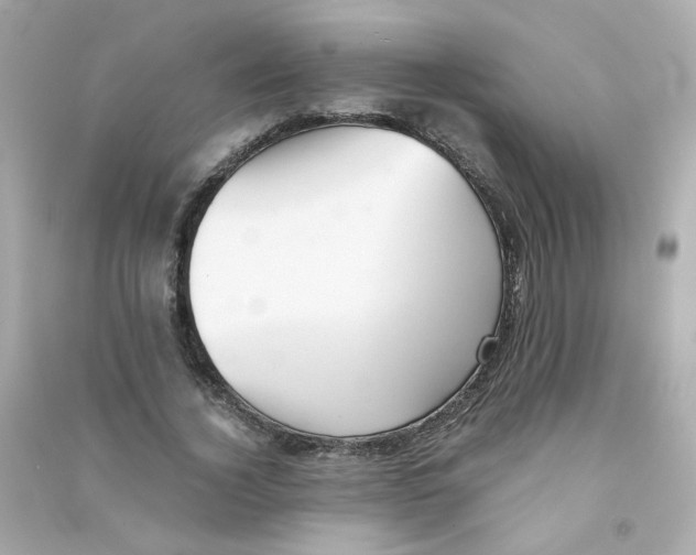 X0000090450732200708102049