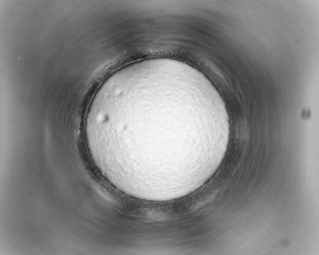 X0000090450733200708102049