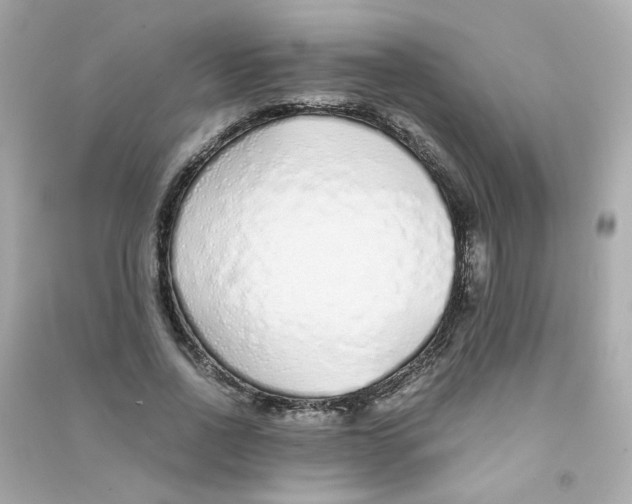 X0000090450734200708102049