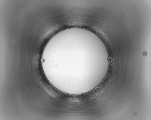 X0000090450735200708102049