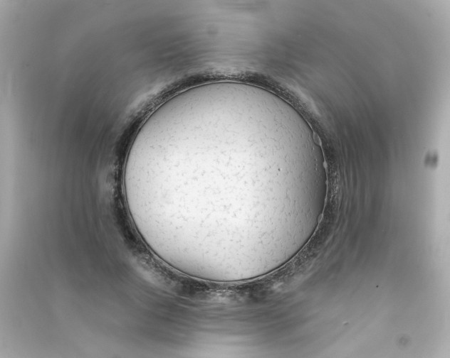 X0000090450736200708102049