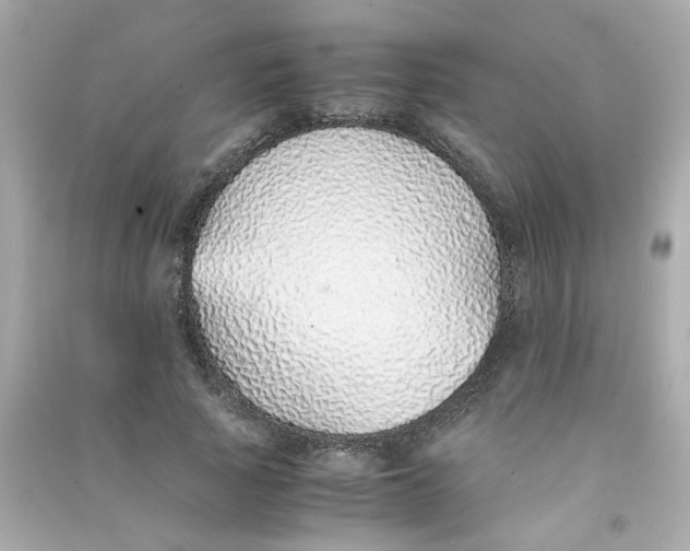 X0000090450737200708102049