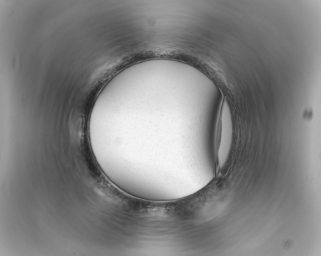 X0000090450740200708102049